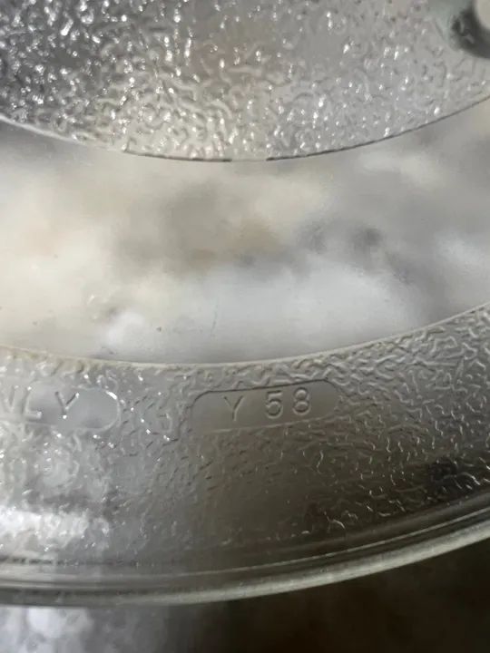 Prato de Vidro para Micro-ondas G - Foto 2