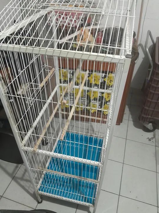 Gaiola para Pássaros - Foto 3