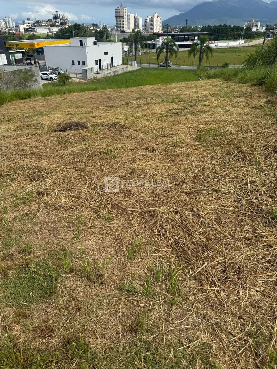 Lote / Terreno em Bairro Pedra Branca - Palhoça - Foto 2