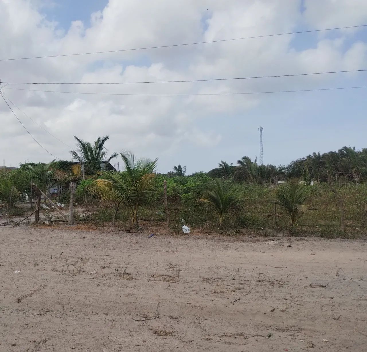 Foto - São José de Ribamar - Alto Turu