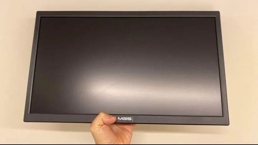 Monitor MGS 19,5?