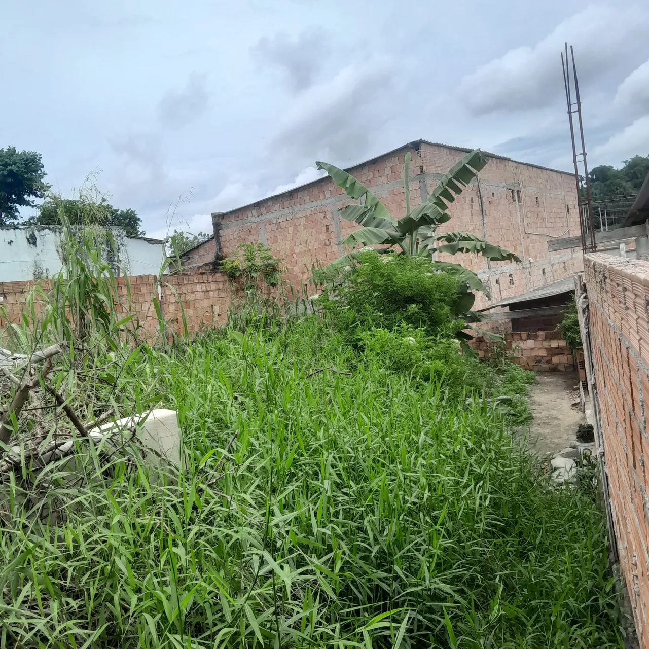 Terreno no bairro da celebridade