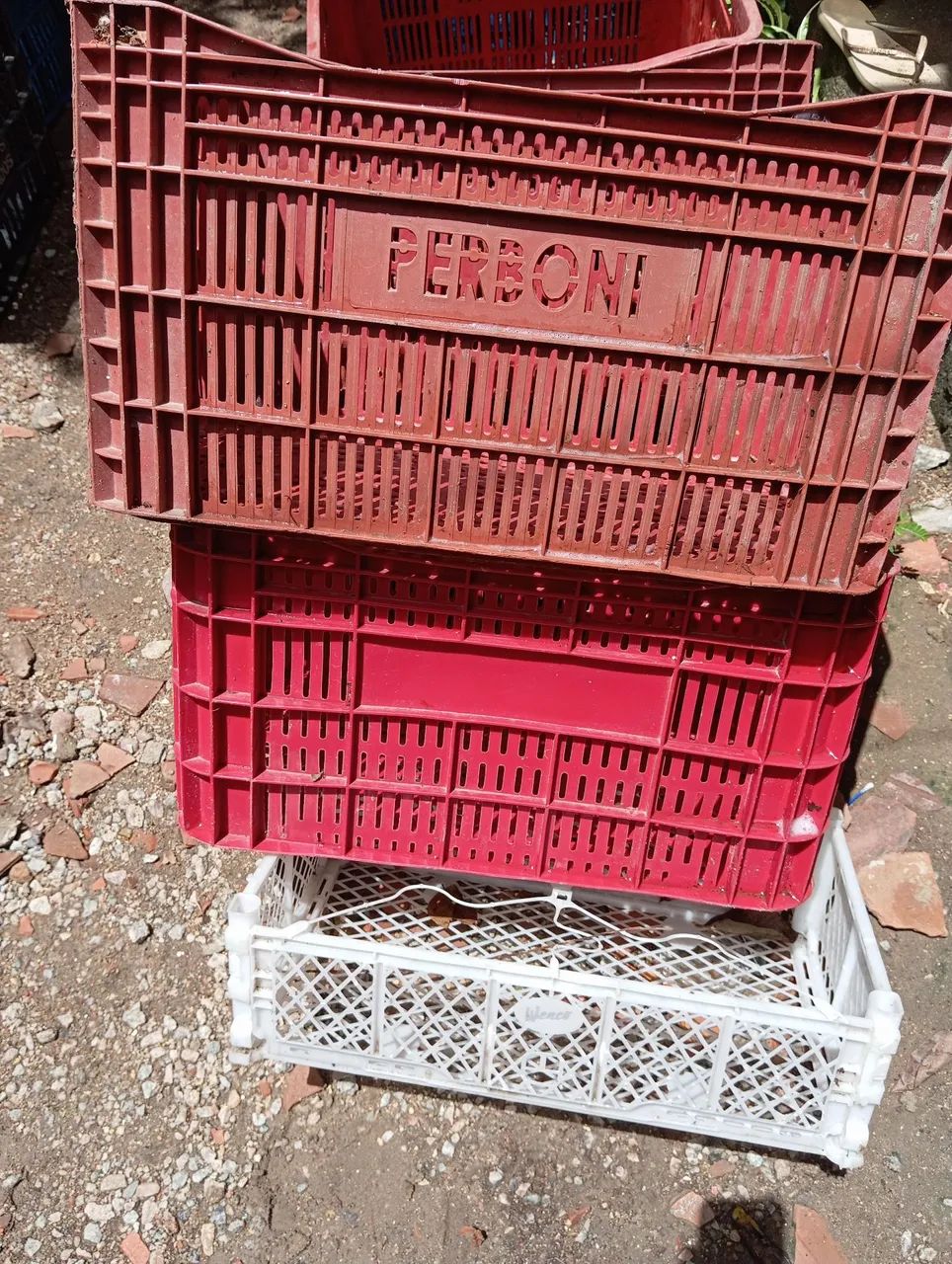 Caixa plástica hortifruti usada  - Foto 3