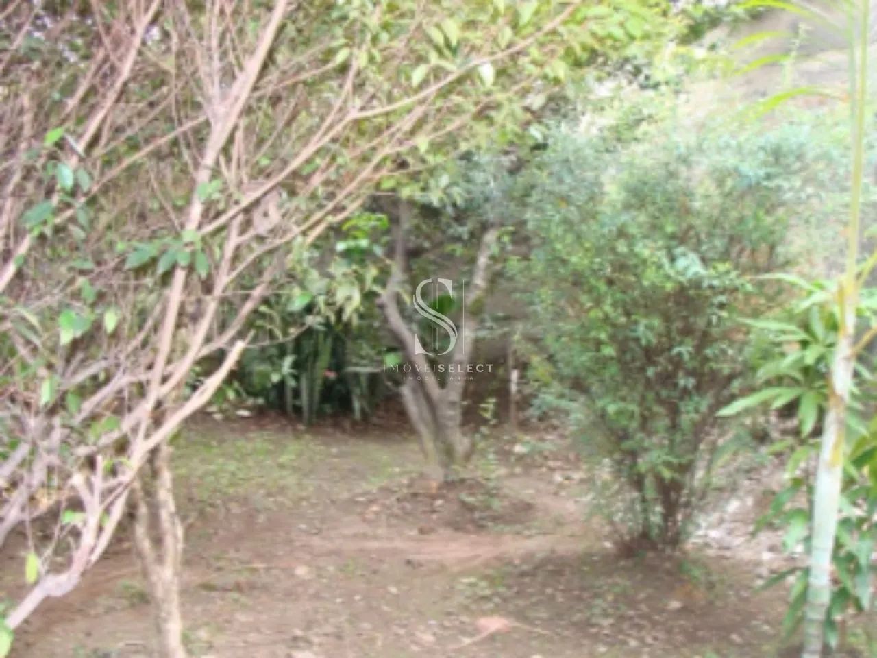 Terreno em São Paulo - Foto 5