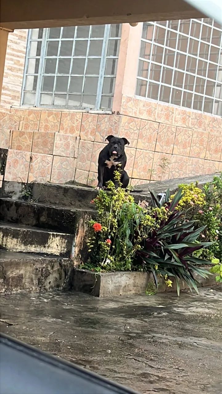 Pit monster