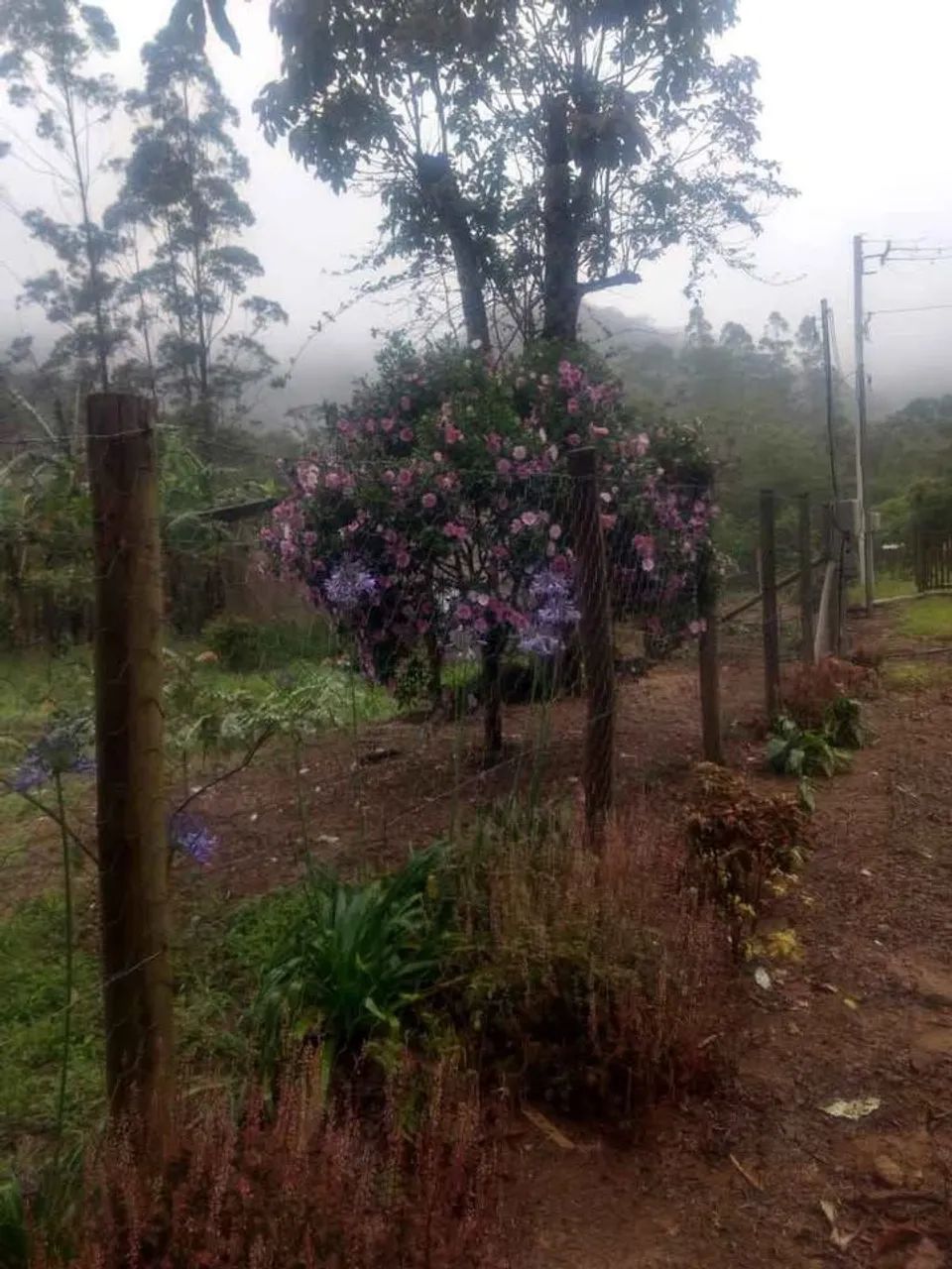 2 Terrenos 15x70 - Foto 2