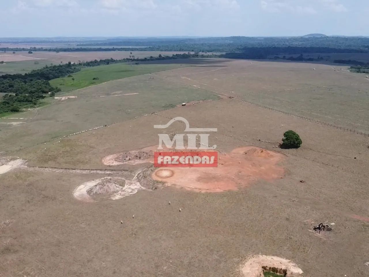 Fazenda em Colíder-MT. (214 Hectares) - Foto 4
