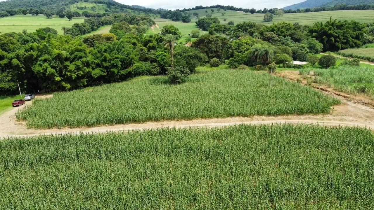 Lotes em serra azul Mateus leme  - Foto 2