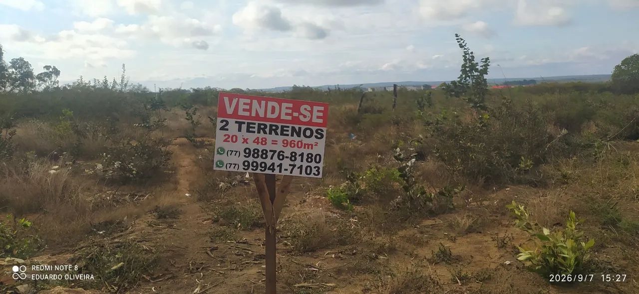 2 terrenos  - Foto 4