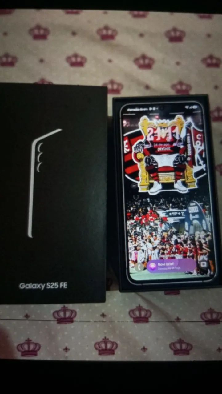 S25 FE