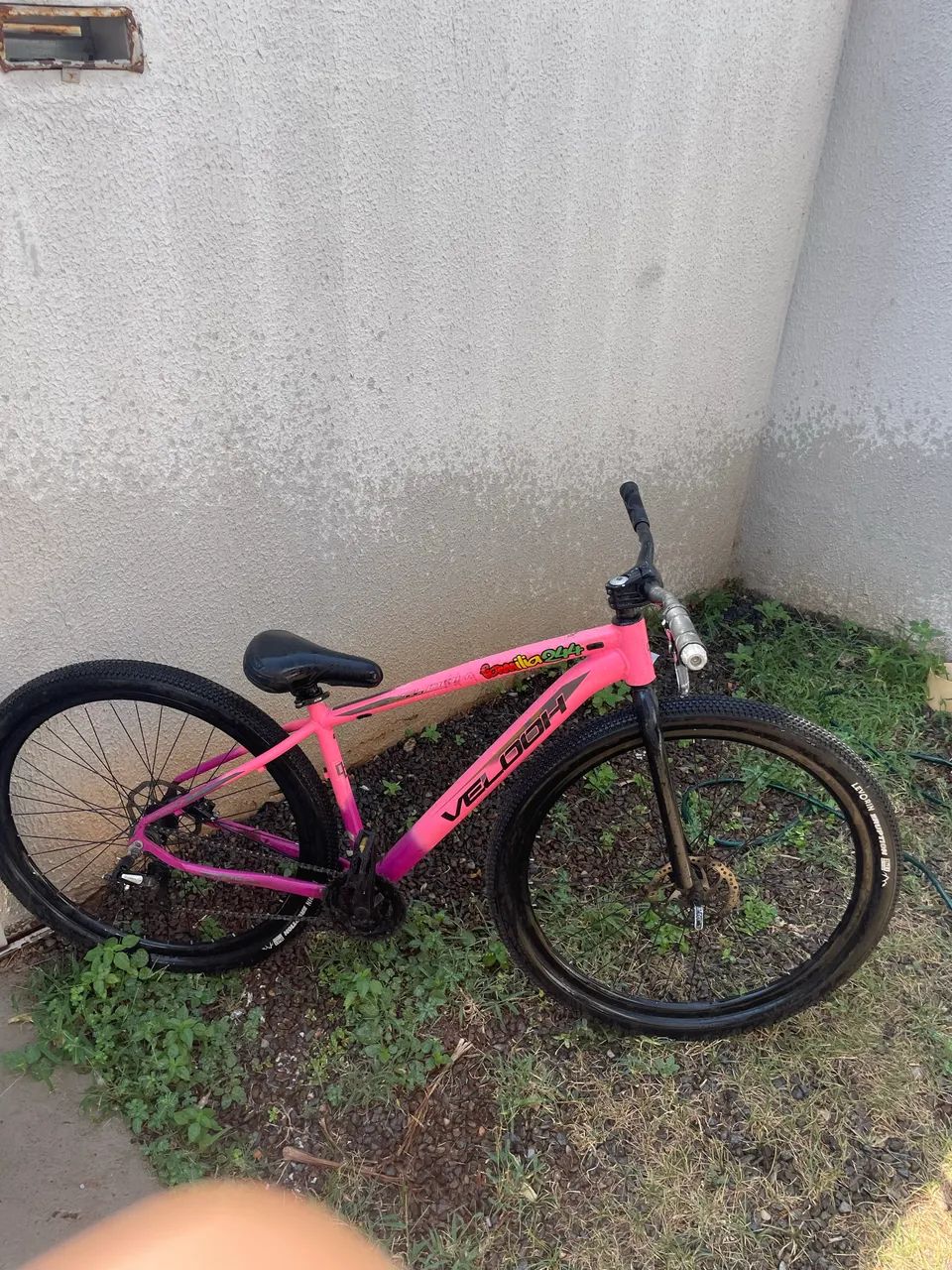 Bike 29 pra sair logo