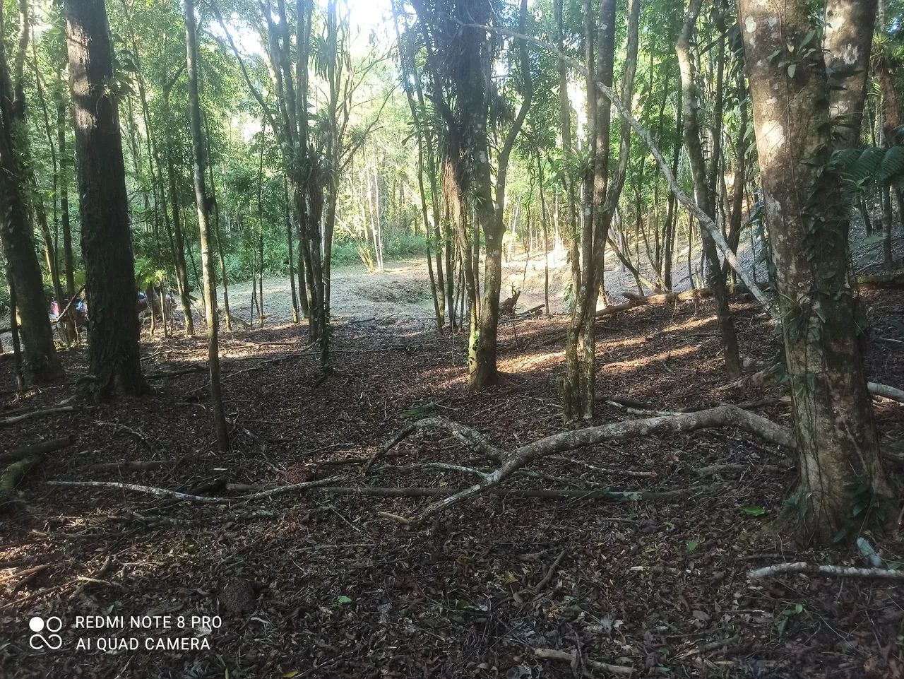  chácara em Antonina  - Foto 4