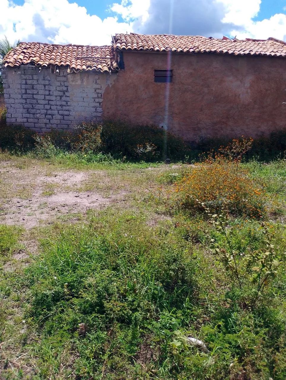Terreno 