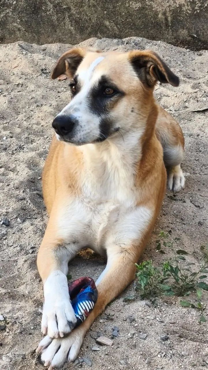 Doação  - Foto 4