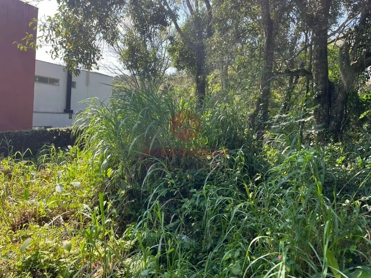 Terreno à venda, 381 m² - Pantanal - Florianópolis/SC - Foto 4