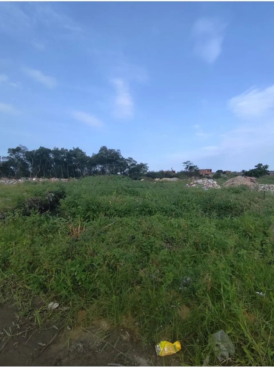 Foto - São Vicente - Jardim Irmã Dolores