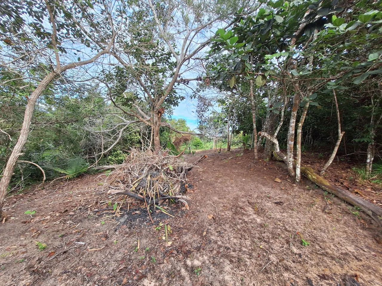 Terreno Ponte Alta 