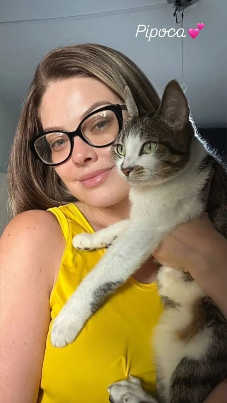 Hospedagem para Gatos - Foto 3