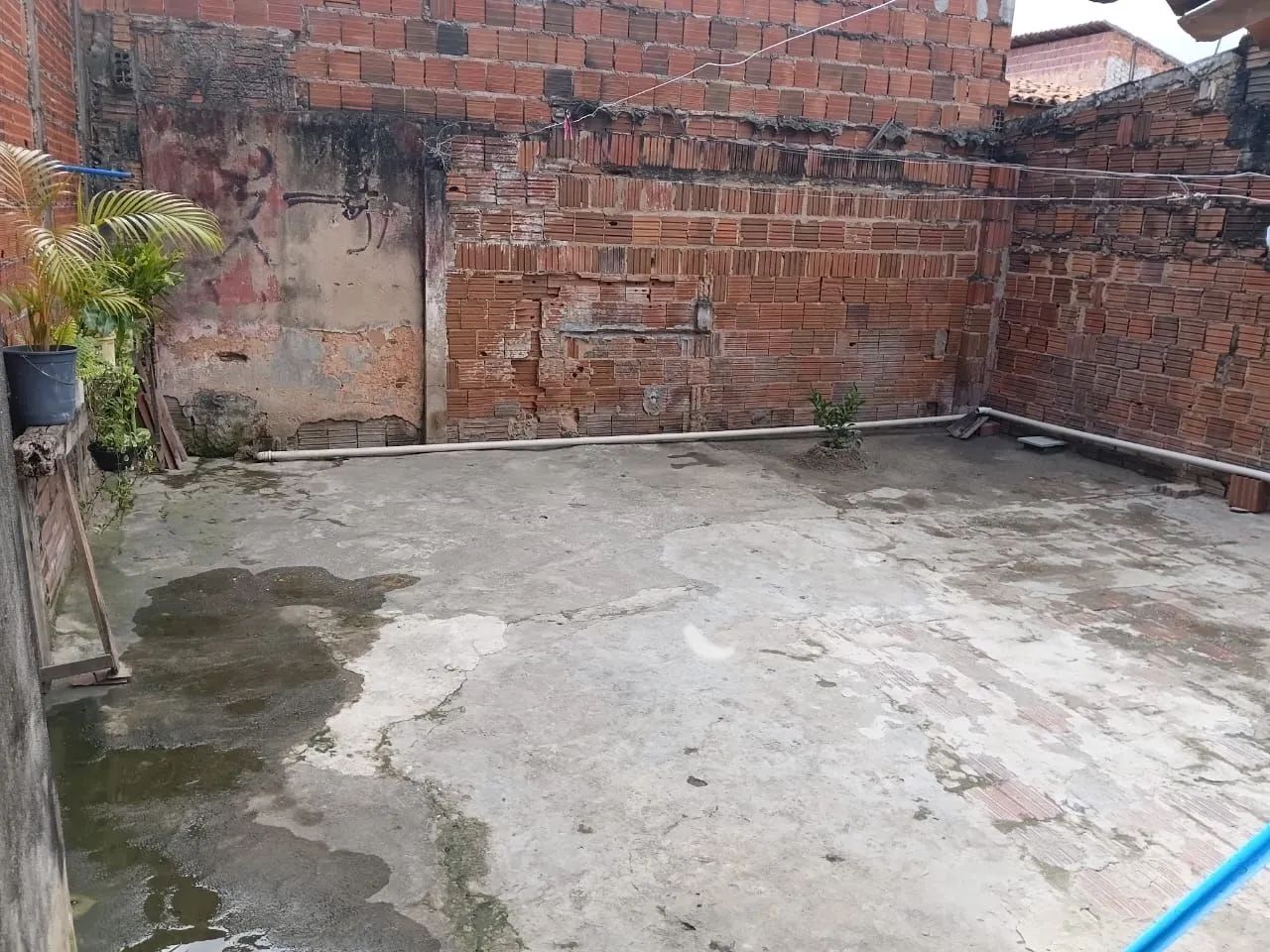 Casa com Terreno. Casa precisa de uma reforma.  - Foto 5