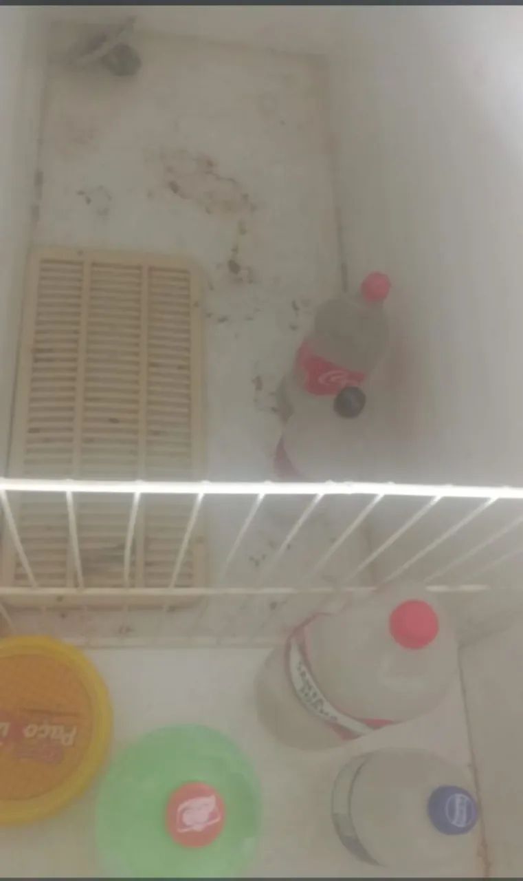 freezer  - Foto 2