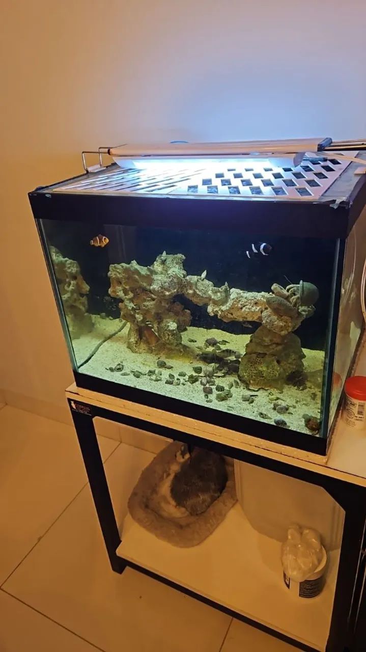 AQUÁRIO 