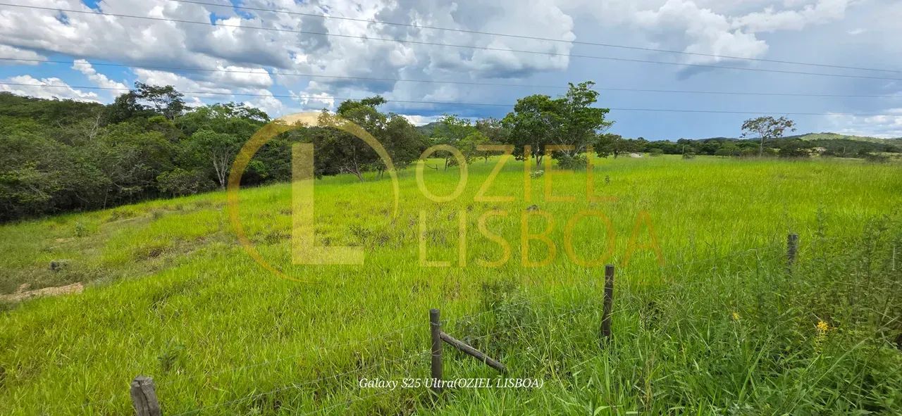 SÍTIO C/ 27 HECTARES ESCRITURADO PORTEIRA FECHADA 52km TAGUATINGA DEPOIS BRAZLÂNDIA BEIRA  - Foto 11