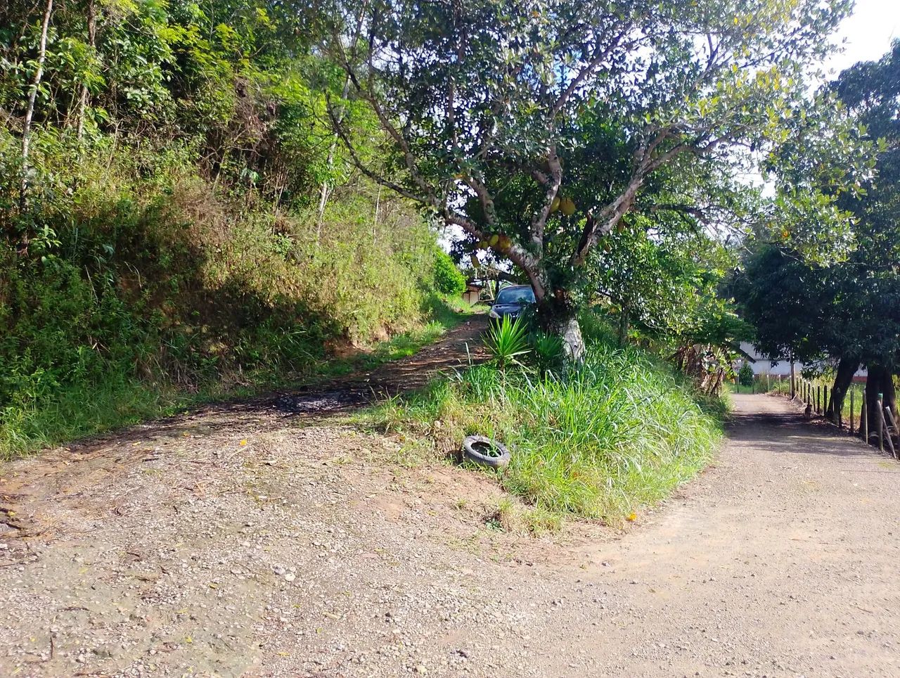 Terreno / chácara em pinheiral - Foto 4