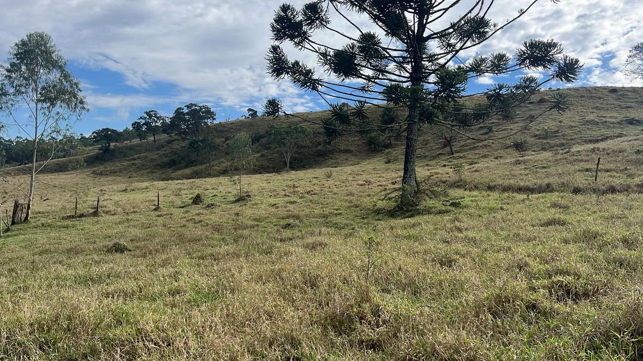 Três hectares próximo br 40