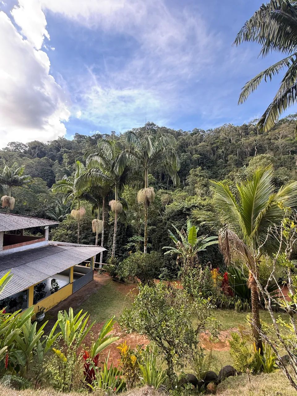 Sitio em Santa Leopoldina - Com Casa 4 quartos - Foto 3