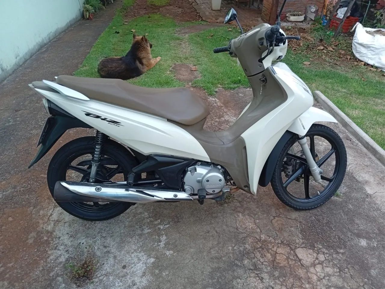 Biz 125 flex  - Foto 4