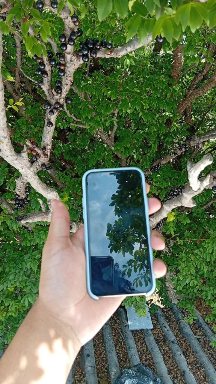iPhone 11 - Foto 2