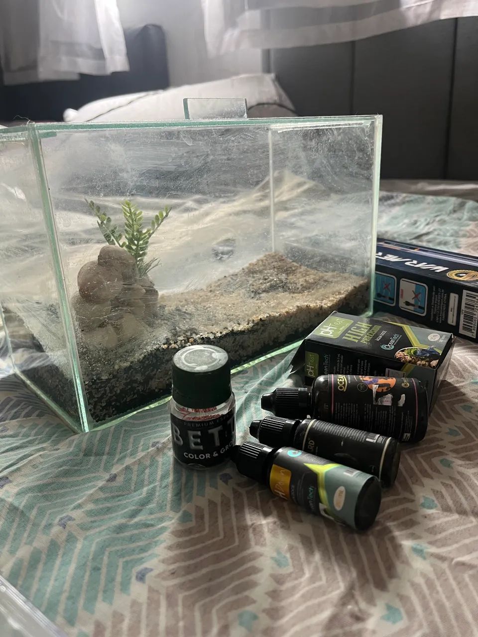 Kit Aquarismo com aquário 10L - Foto 3