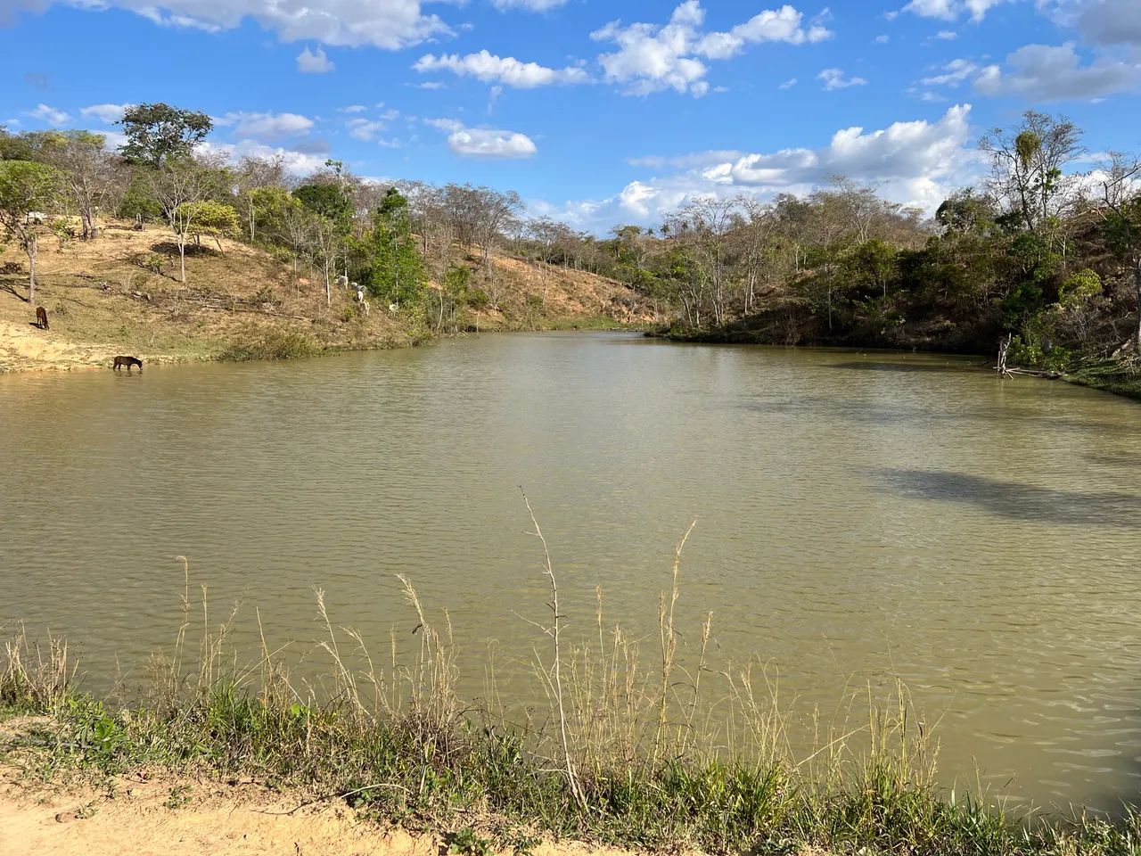 Fazenda Planaltina Go  - Foto 2
