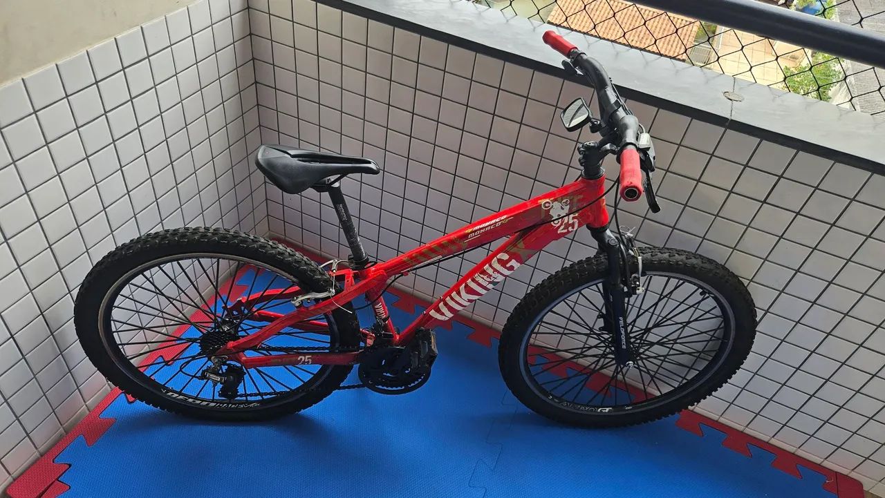 BIKE VIKING TUFF25 - Foto 3