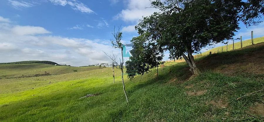 TERRENO RURAL DE TOPOGRAFIA BAIXA EM LORENA-SP - Foto 4