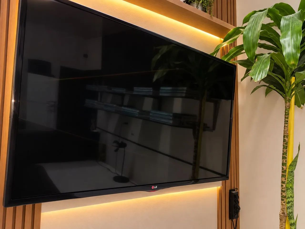 TV 42  - Foto 3