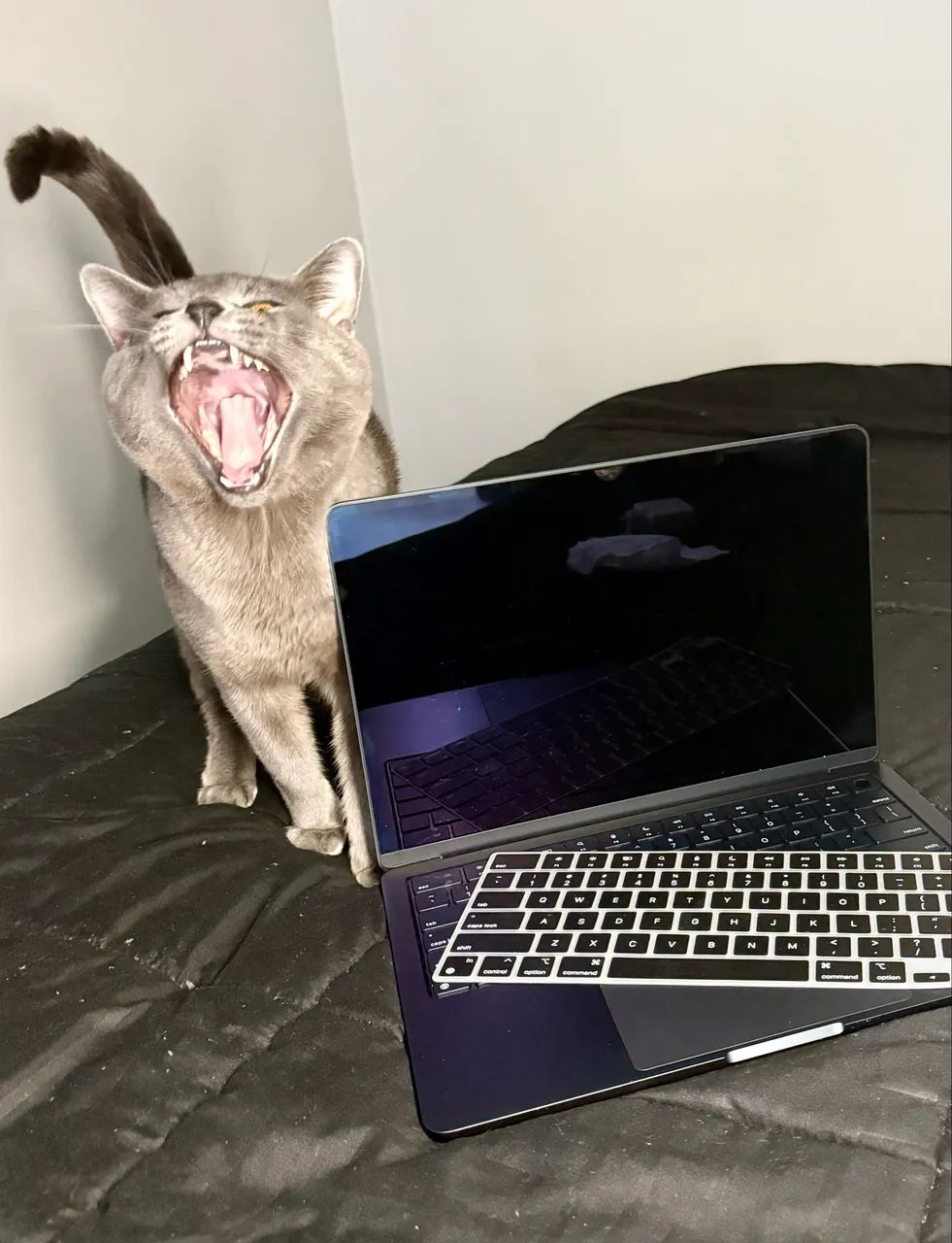 MacBook Air M2 13" 8GB 256GB Midnight - Com Acessórios (Praticamente Zero!) - Foto 3