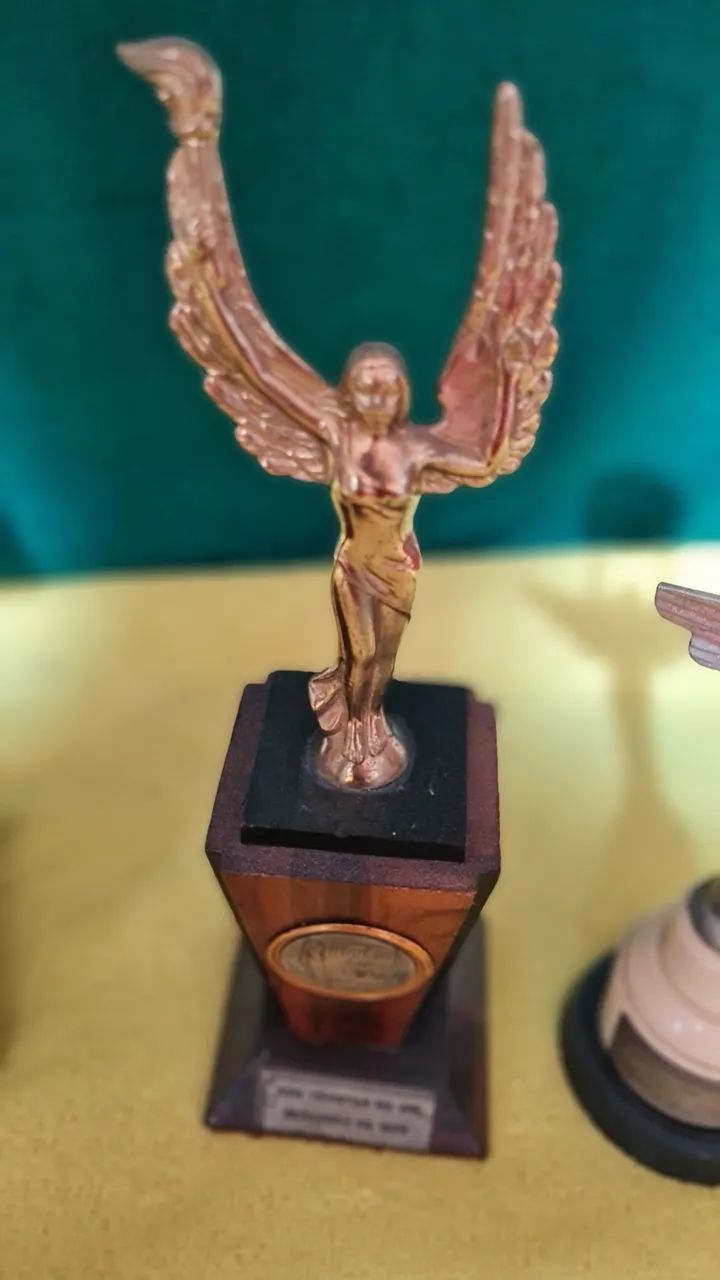 Kit de troféus para colecionadores.  - Foto 5