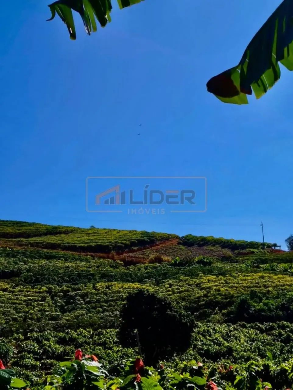 Vendo Terreno no Córrego Barbados - Foto 2