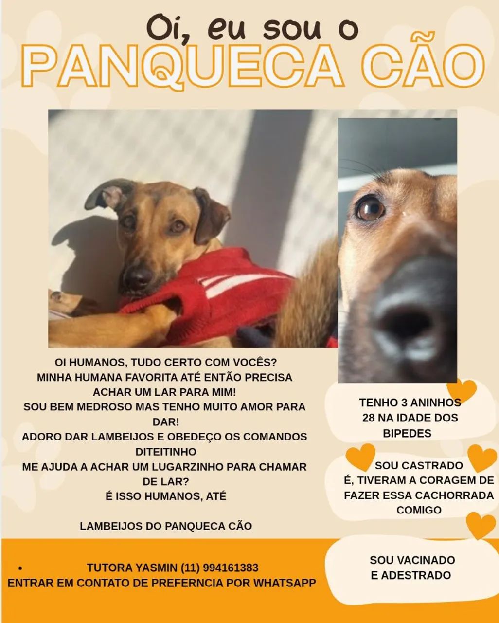Doação 