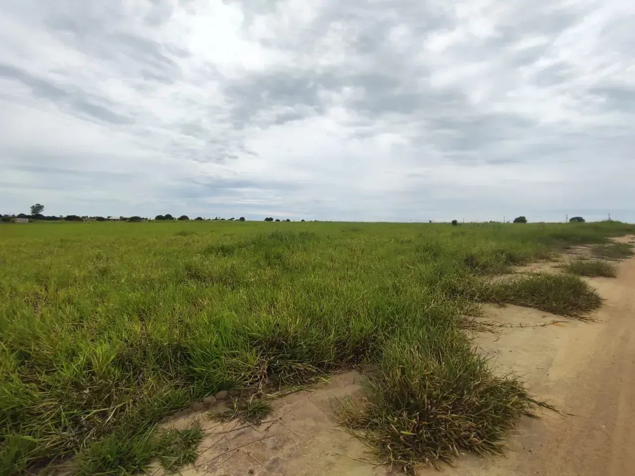 Area em Carapebus com 1000 m2 - Foto 4