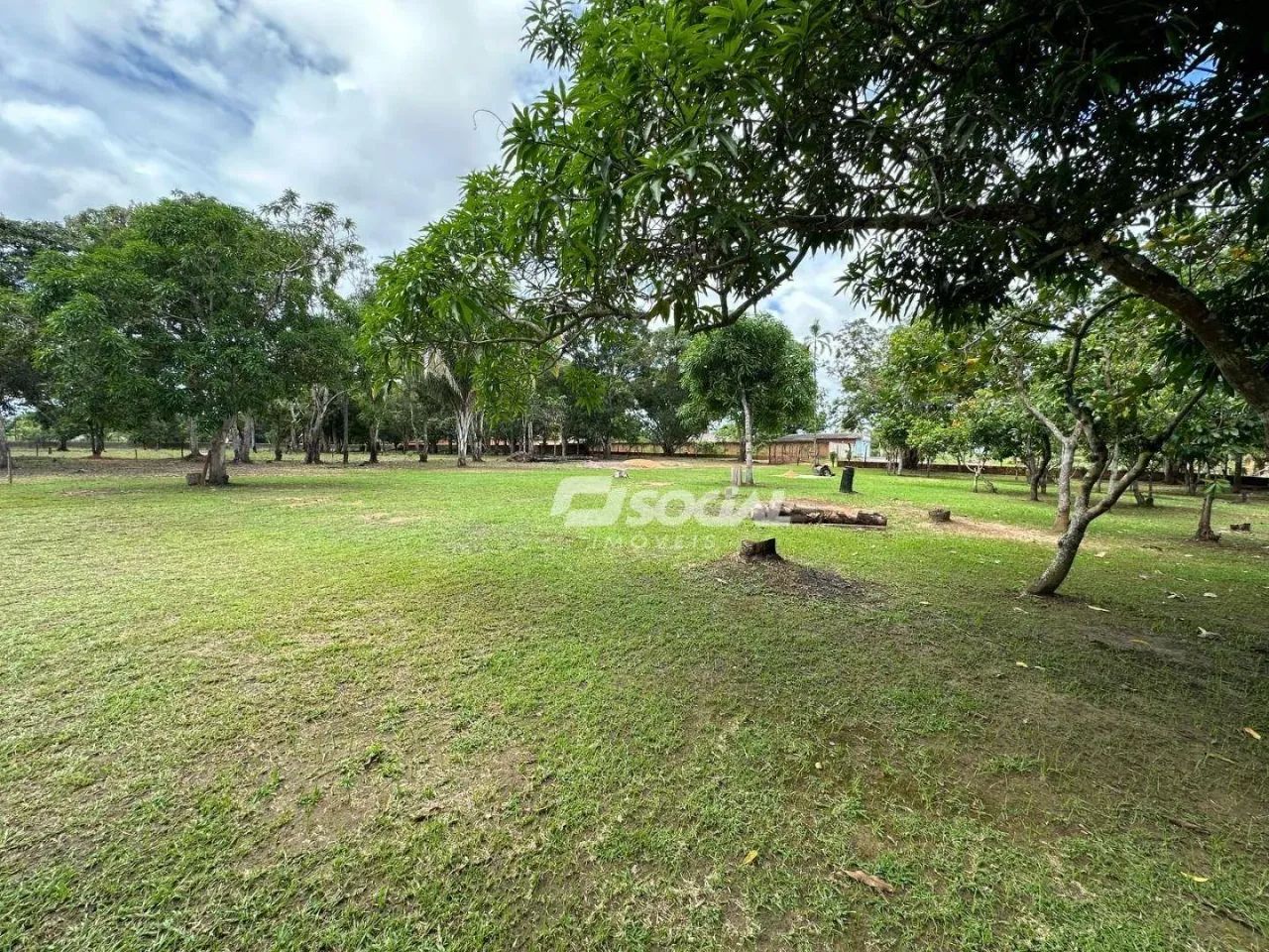 Excelente Chácara com igarapé - Planalto - Foto 5