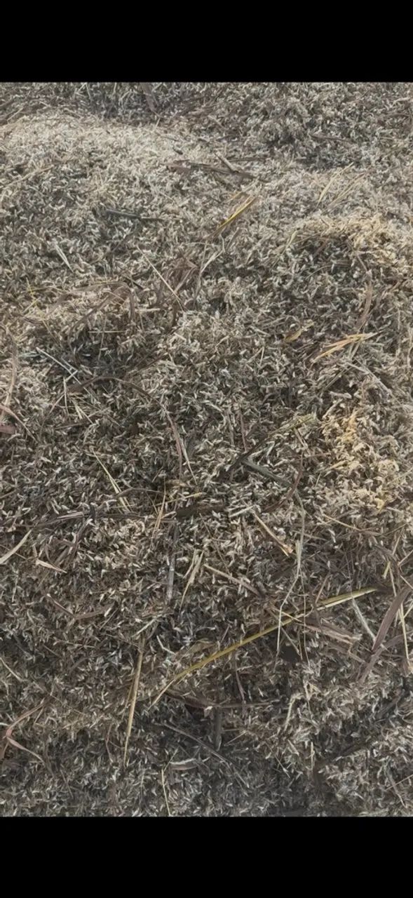 Agropecuária  - Foto 3