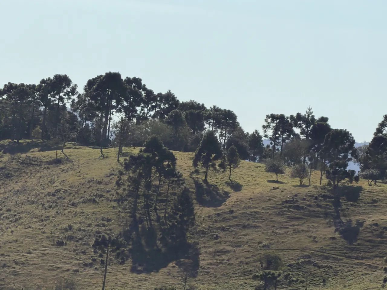Sítio entre Urubici e Rio Rufino - Foto 3