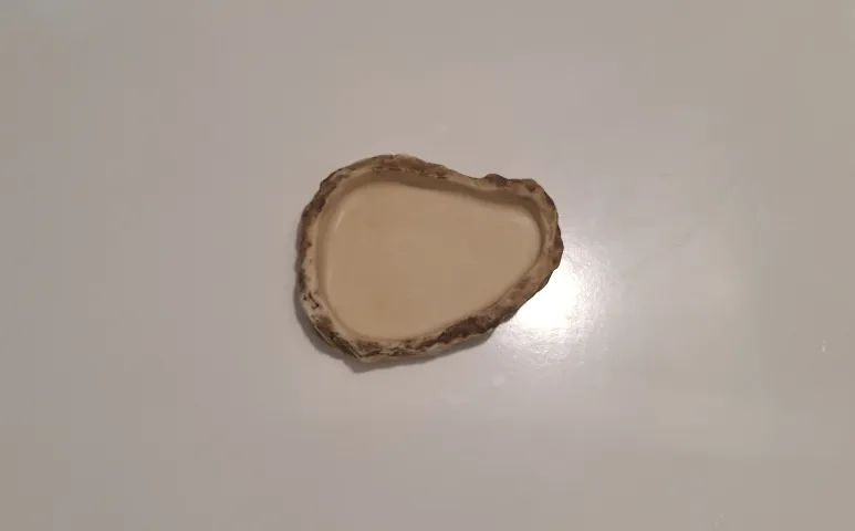 Tocas e Bebedouro para Répteis (Kit Completo) - Foto 5