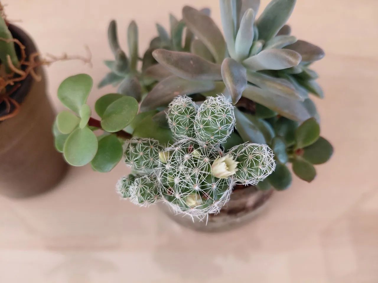 Decoração de casa  - Foto 4