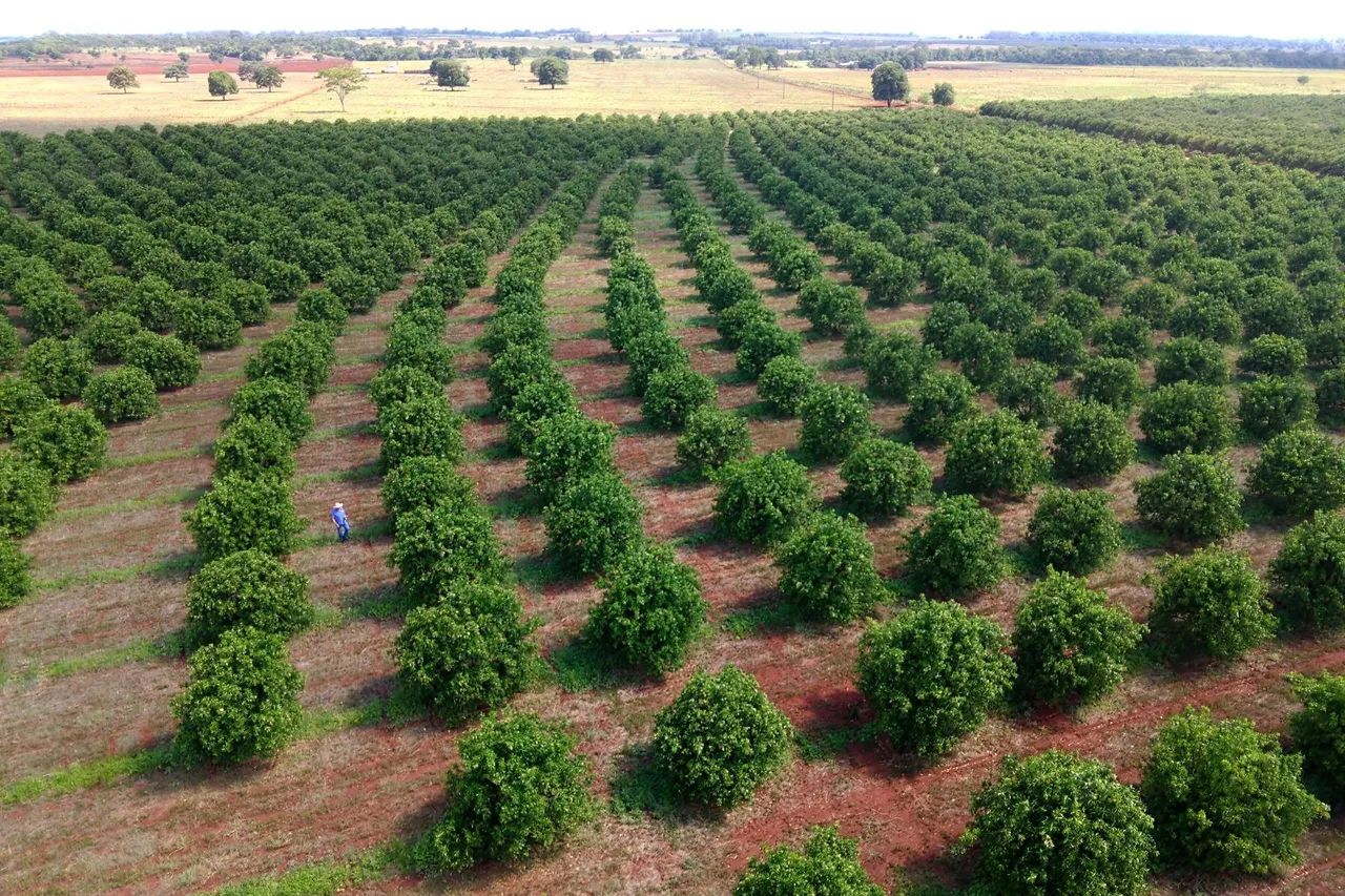 Arrendo terreno tomar do geru sergipe 
