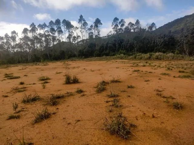 Sítio 40.000 m², Nascente, Roça, Invernada, São Pedro De Alcântara SC - Foto 2