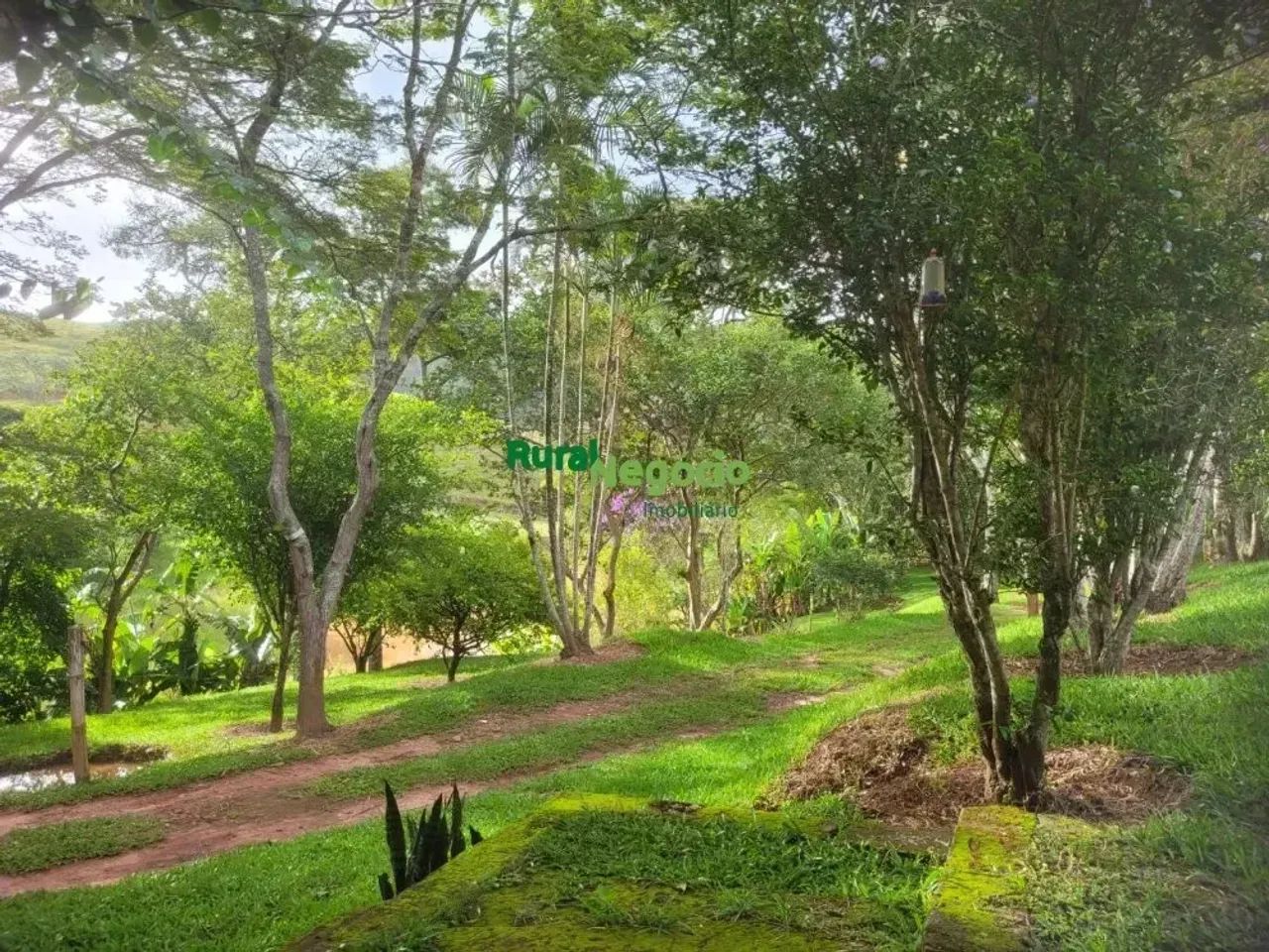 SÍTIO FORMADO COM LAGOS E PASTO Á VENDA EM APARECIDA-SP