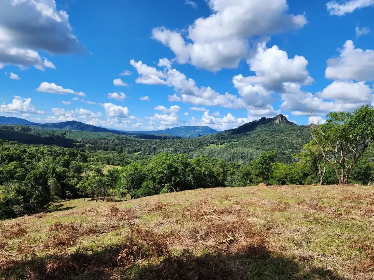 Terreno rural com rio em Bocaina do Sul - Foto 5